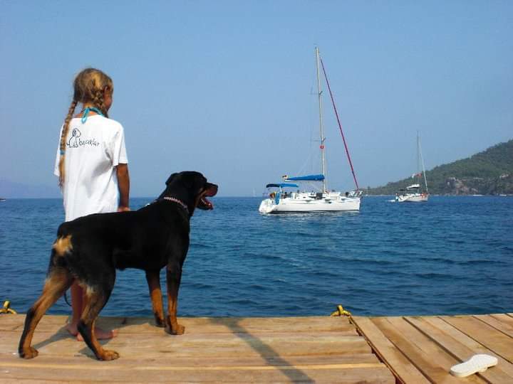 Marmaris koyunda köpeğiyle birlikte