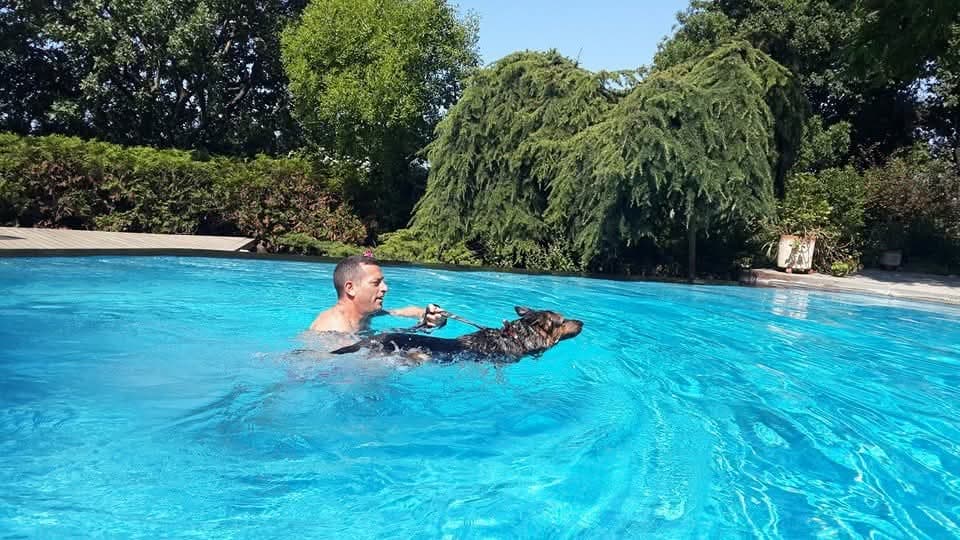 Mutlu Kuyruklar başarı hikayesi
